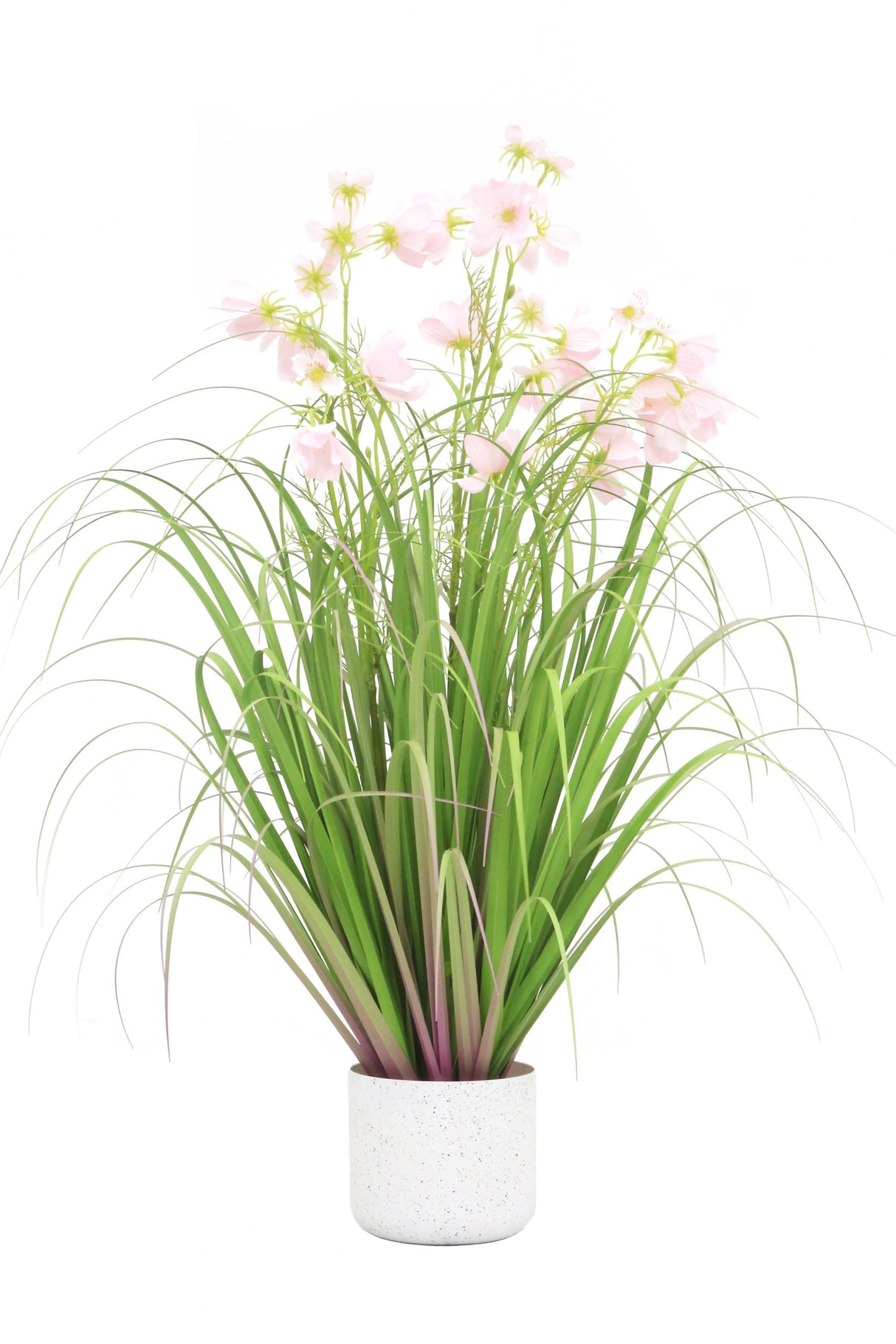 Flower Grass