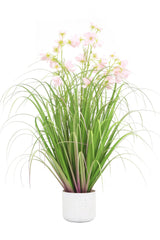 Flower Grass
