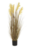 Grain Grass
