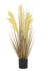 Grain Grass
