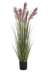 Grain Grass