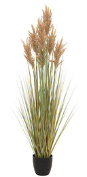 Grain Grass