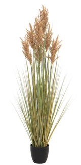 Grain Grass