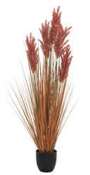 Grain Grass