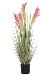 Grain Grass