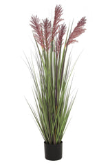 Grain Grass