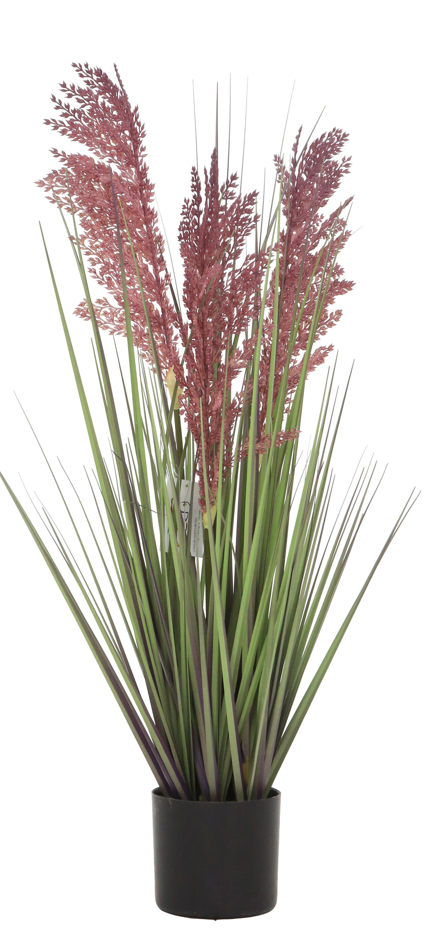 Grain Grass