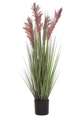 Grain Grass