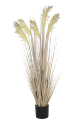 Grain Grass