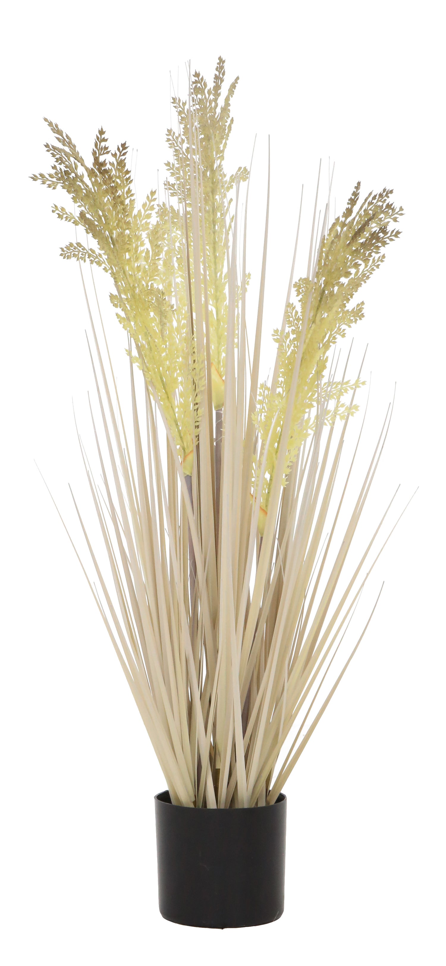 Grain Grass