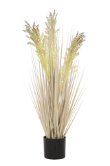 Grain Grass