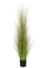 Grass Green/Brown