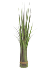 Grass Bundle