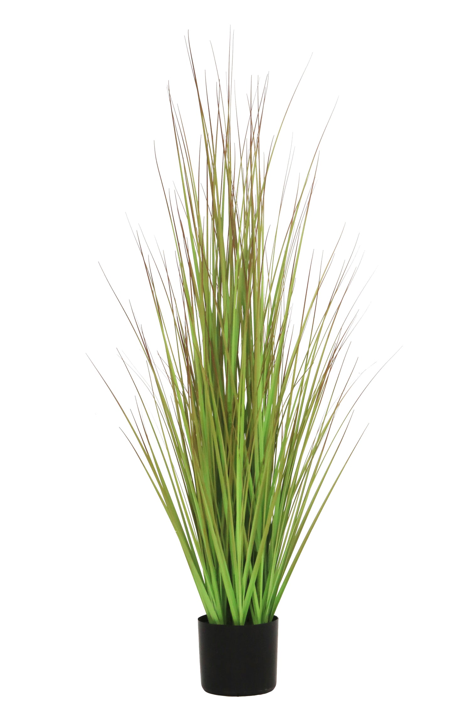 Grass Green/Brown