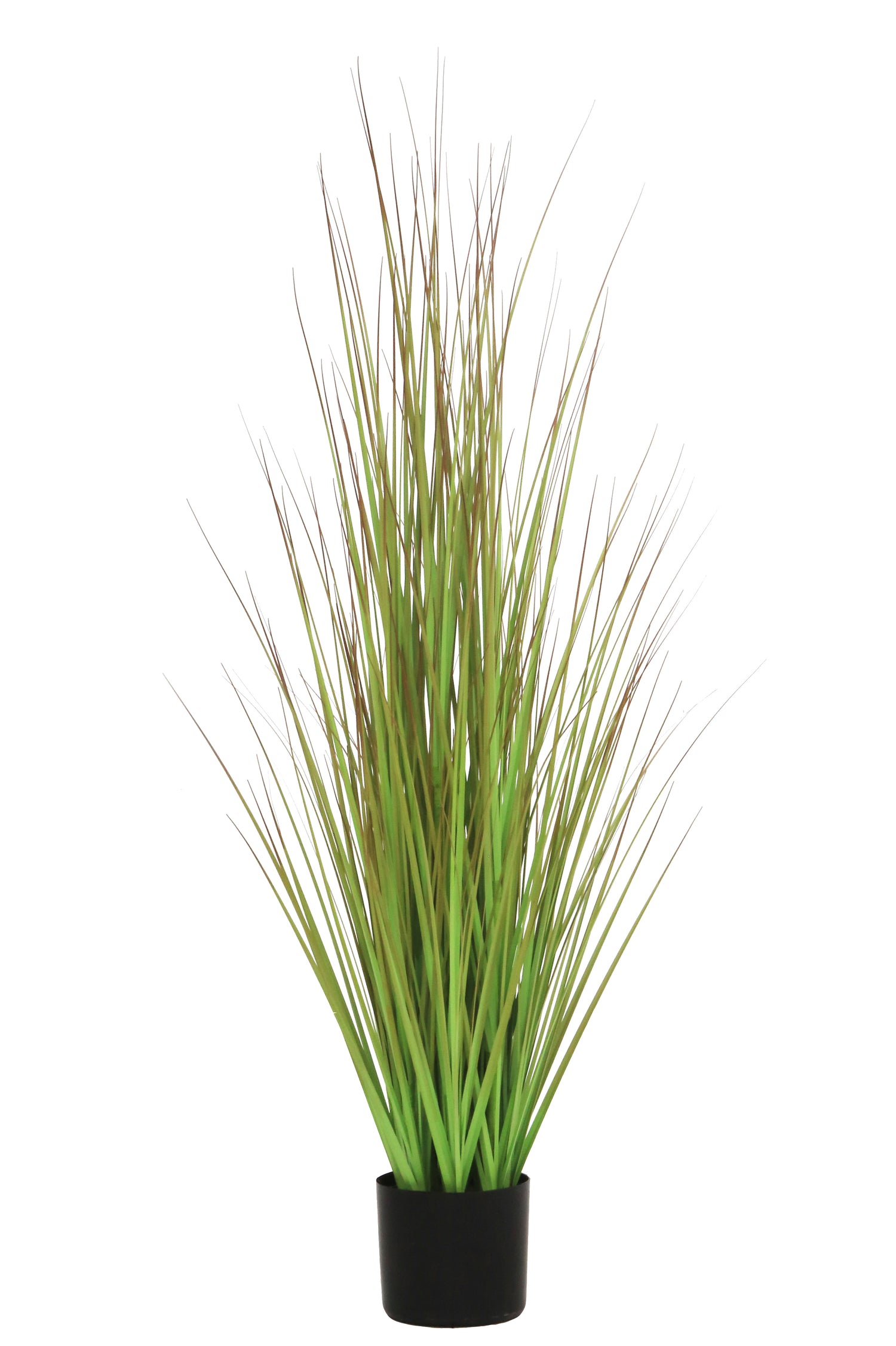 Grass Green/Brown