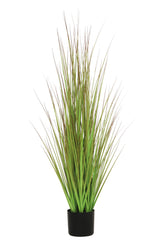 Grass Green/Brown