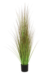 Grass Green/Brown