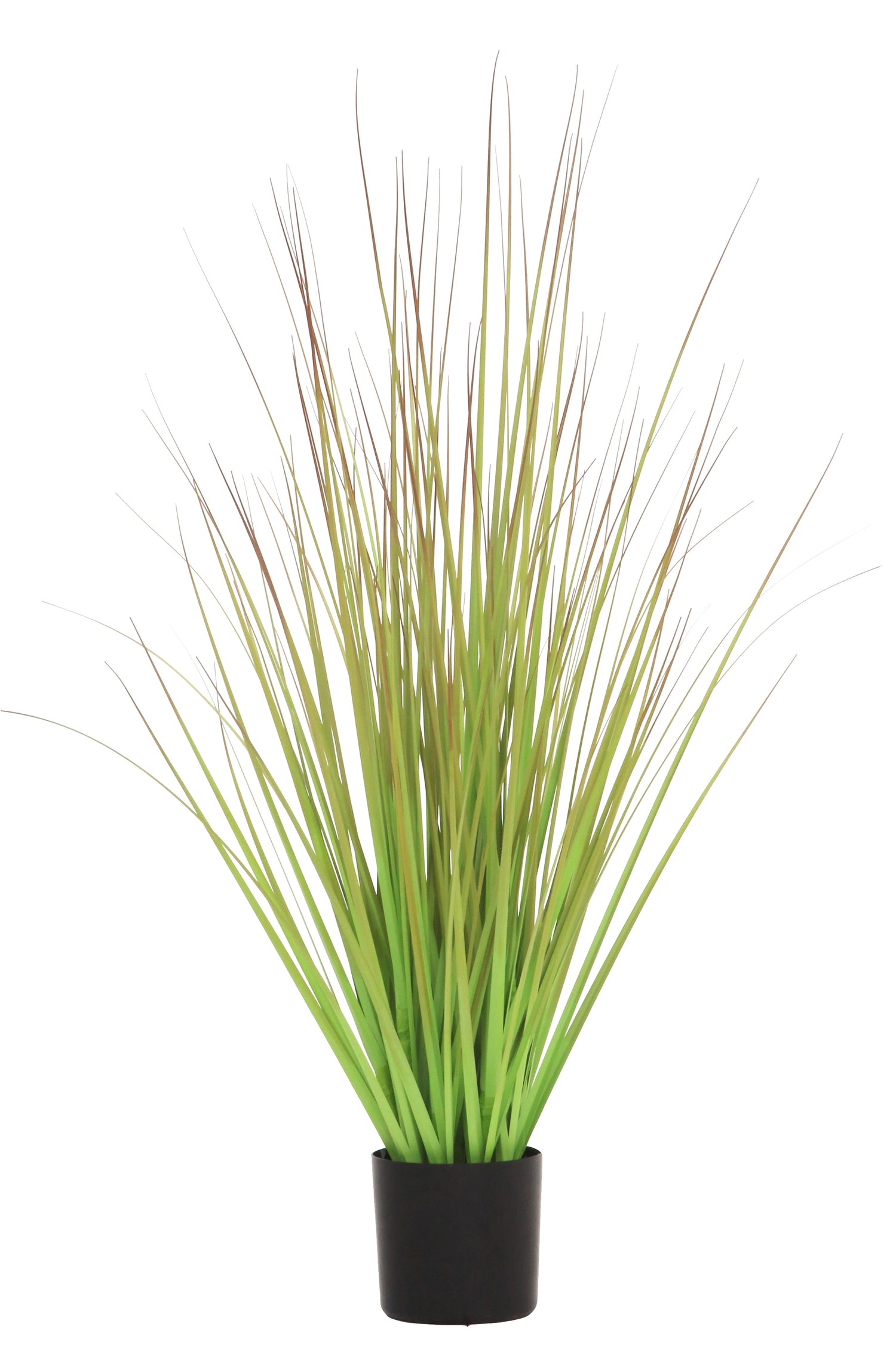 Grass Green/Brown