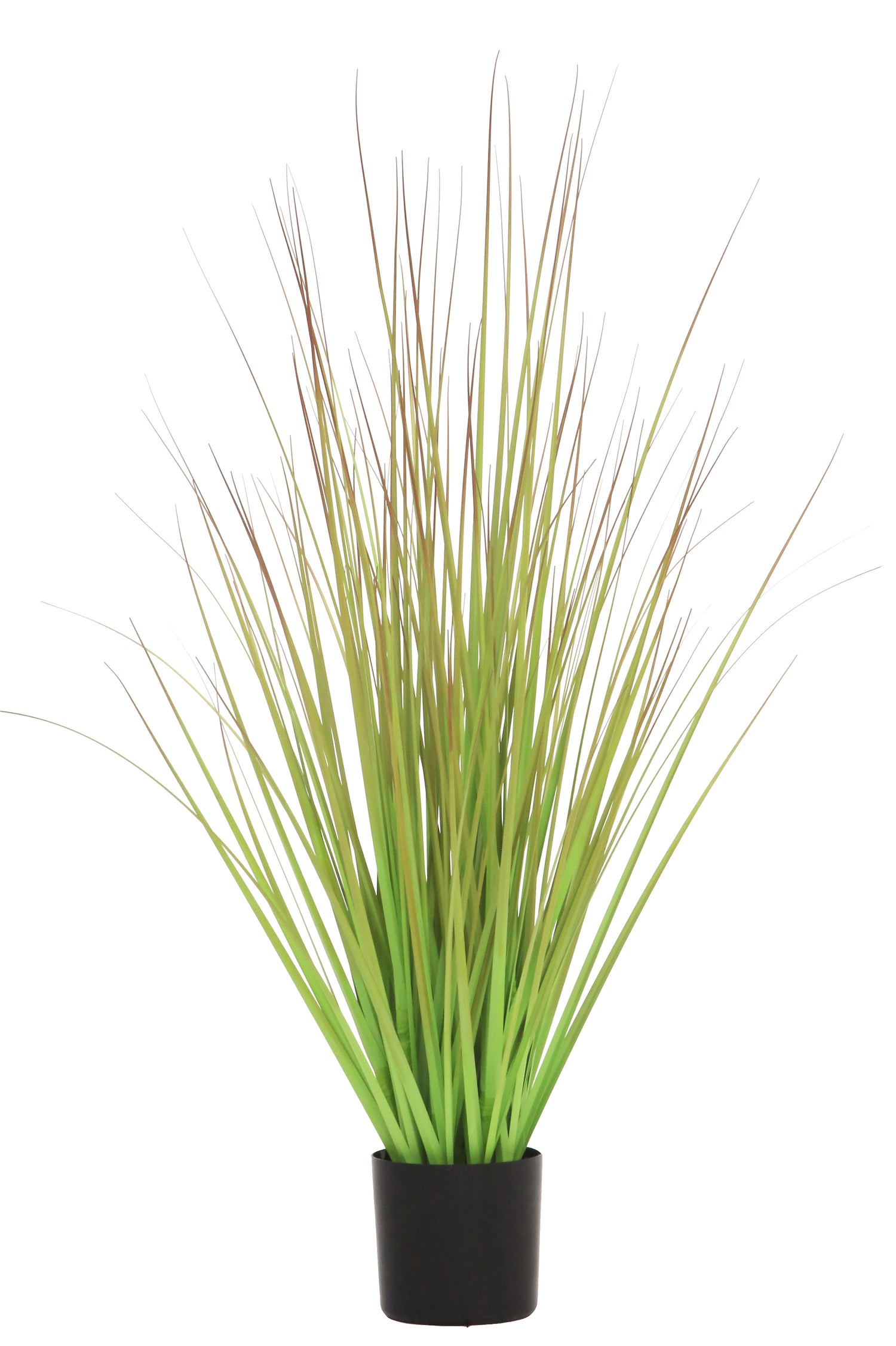 Grass Green/Brown