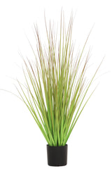 Grass Green/Brown