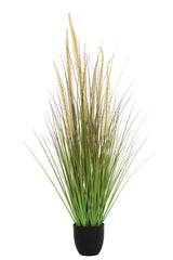 Horsetail Grass