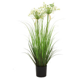 Leek Flower Grass