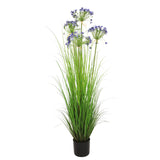 Leek Flower Grass