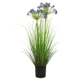Leek Flower Grass
