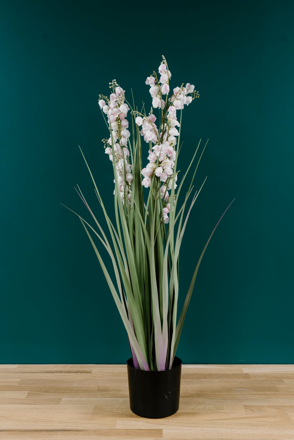 Bellflower Grass