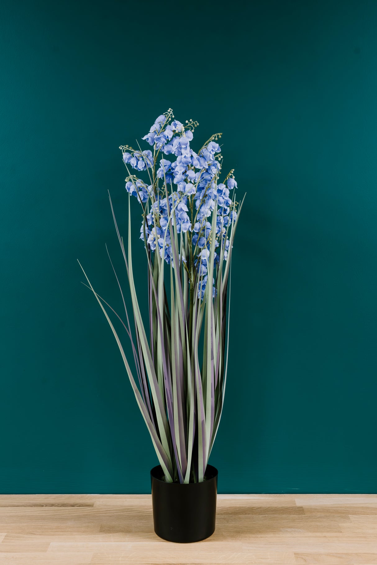 Bellflower Grass