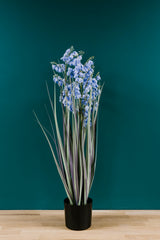 Bellflower Grass