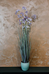 Allium Grass