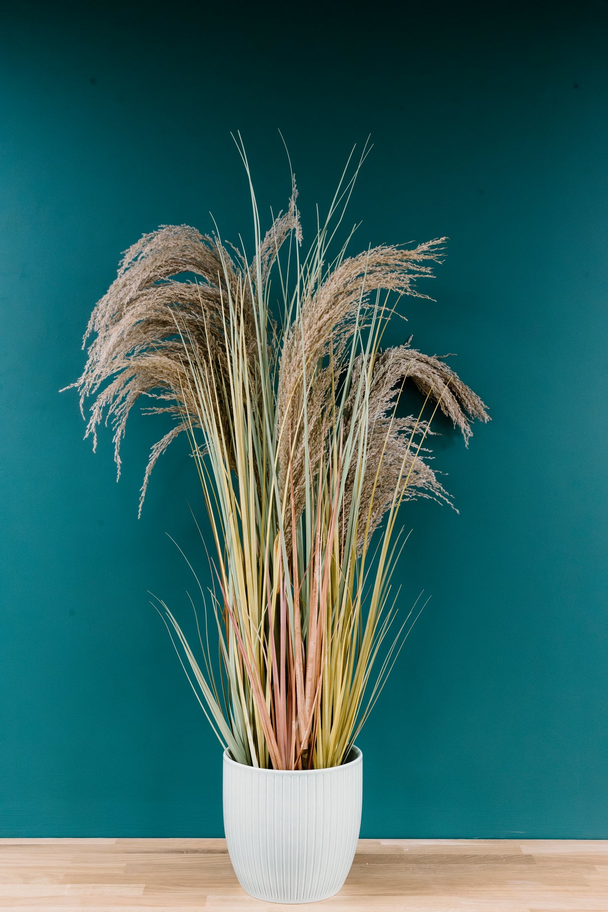 Dried Pampas Grass