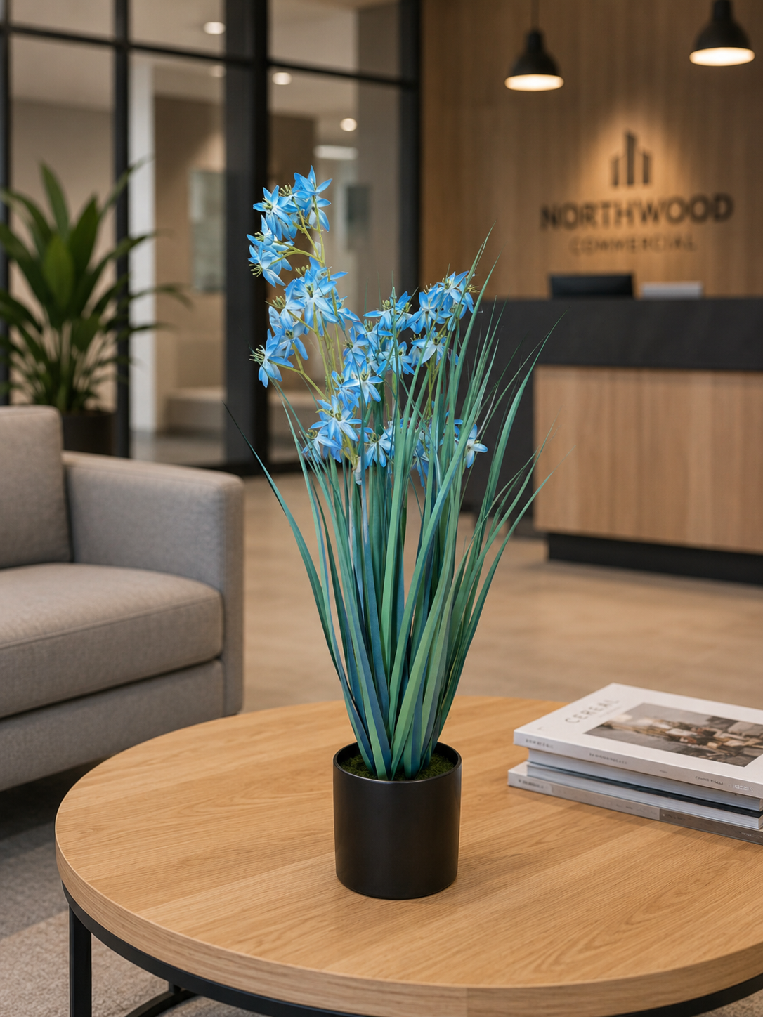 Allium Grass