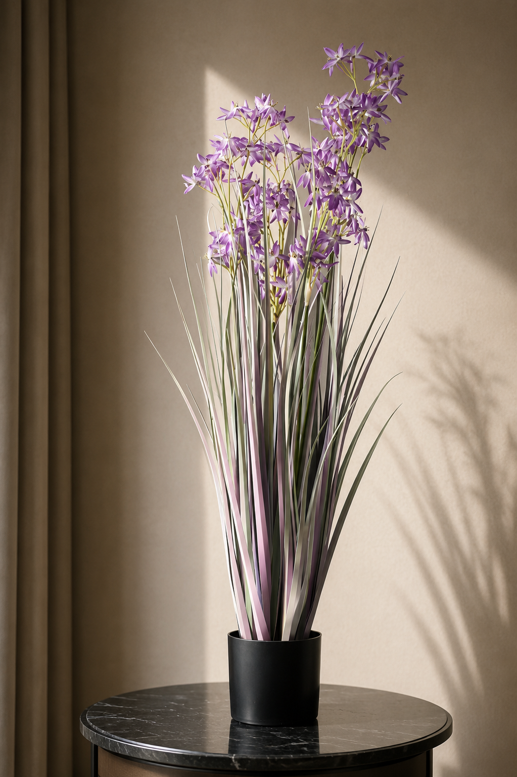 Allium Grass