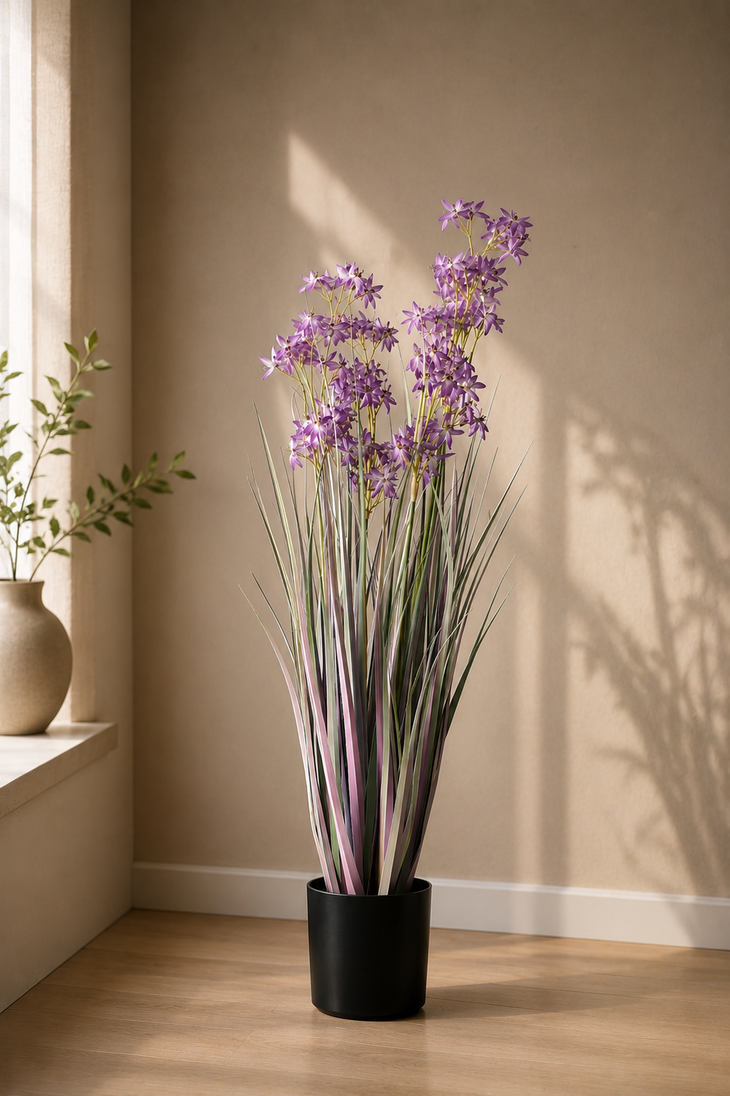 Allium Grass
