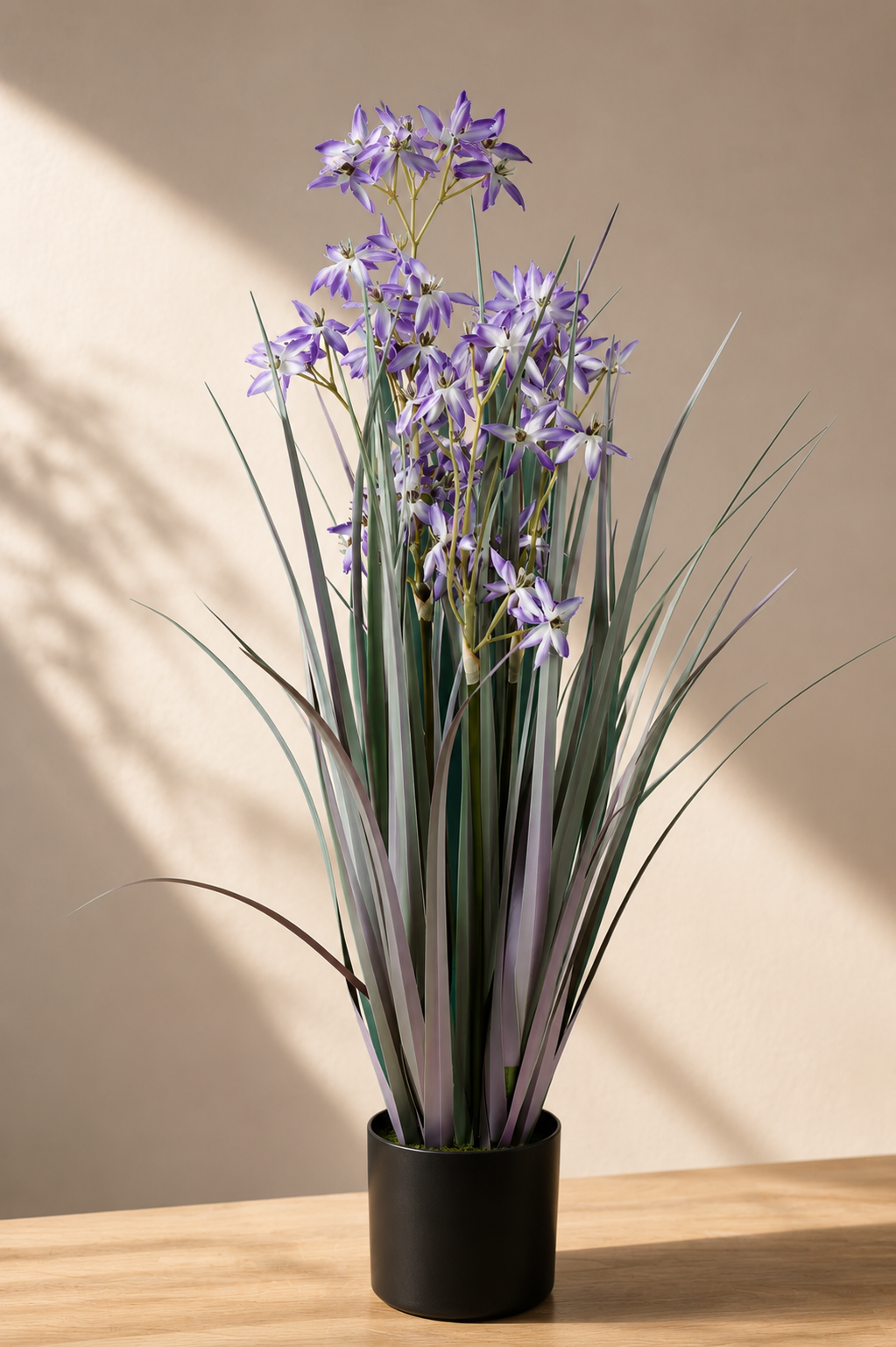 Allium Grass