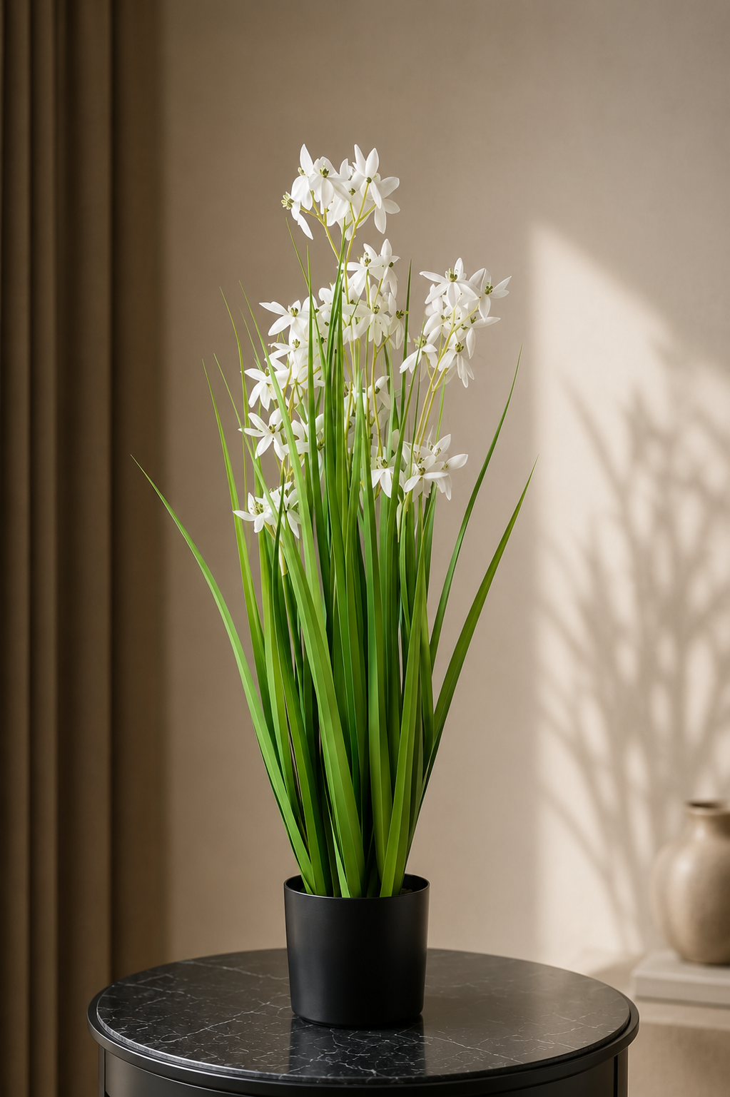 Allium Grass