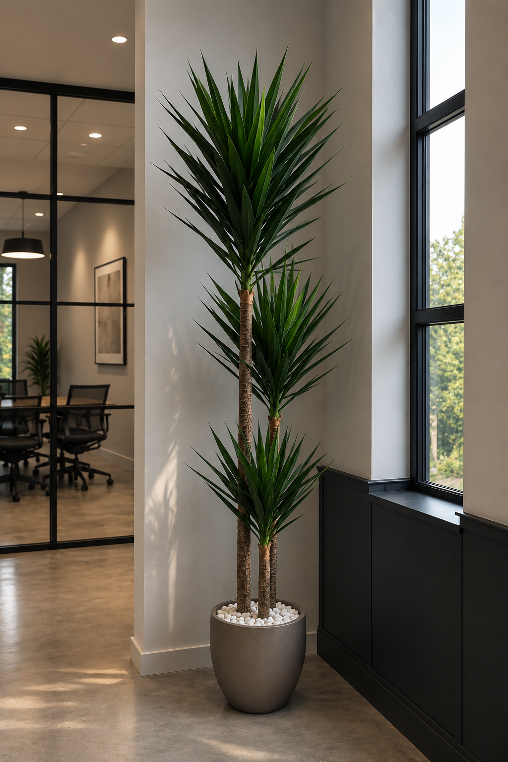 Triple Head Yucca 260cm