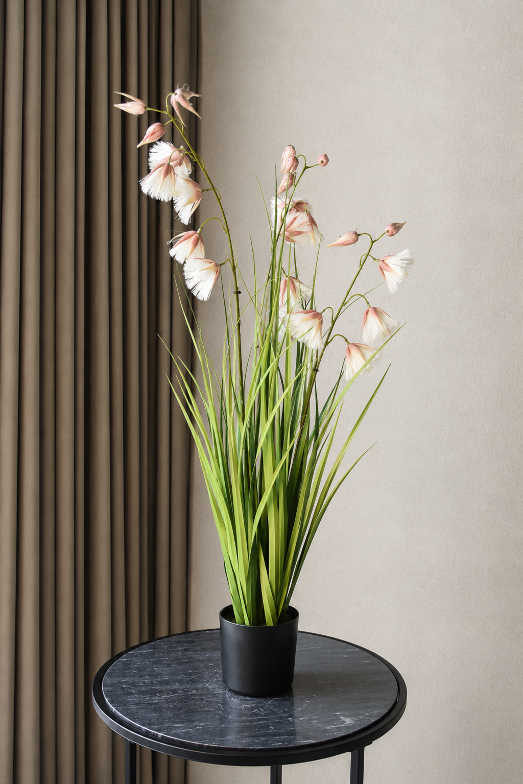 Princess Flower Grass