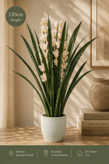 Grande Tropical Design | Summer Styling Set