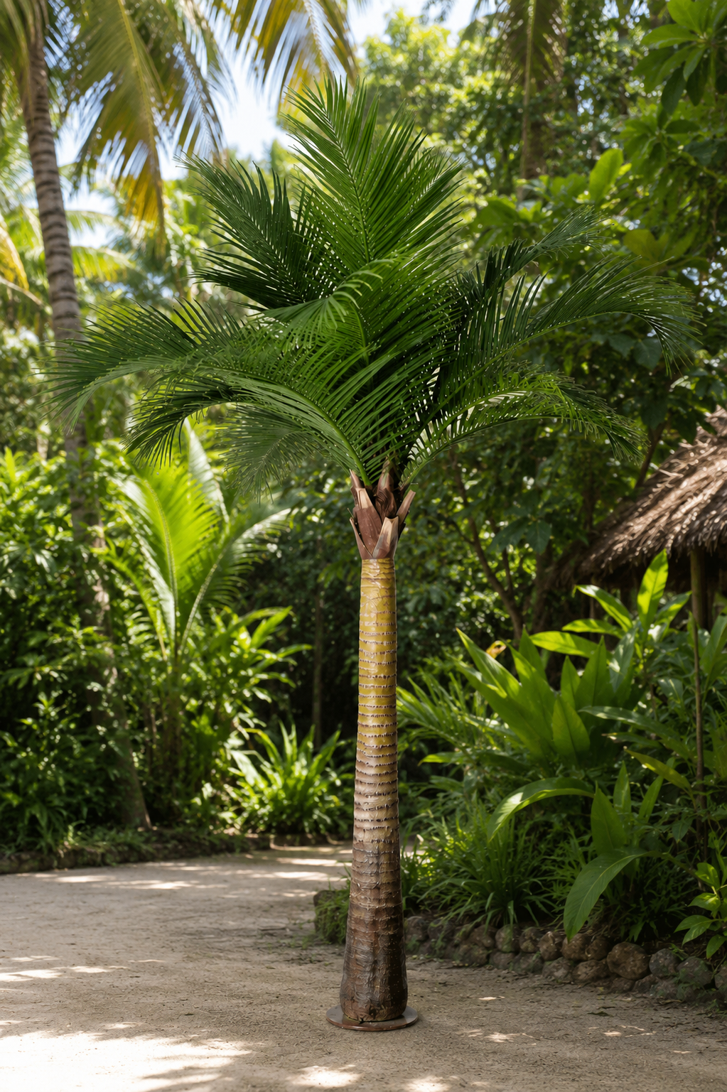 Coco Palm Tree