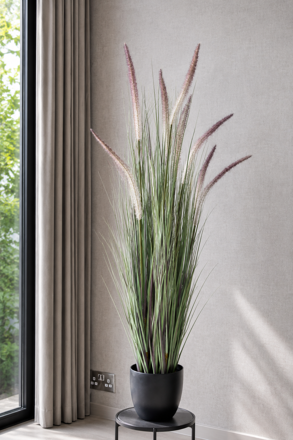 Horsetail Grass