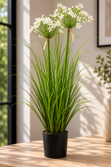 Leek Flower Grass
