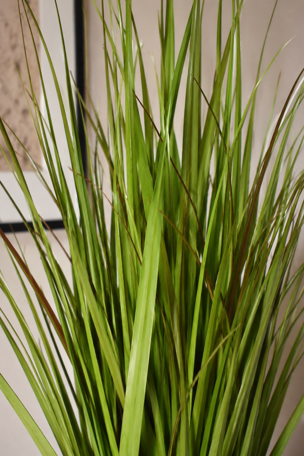 Wild Grass Greenish