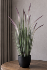 Horsetail Grass