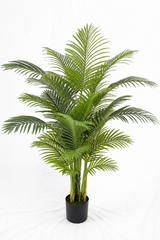 Hawaii Palm Tree 155CM
