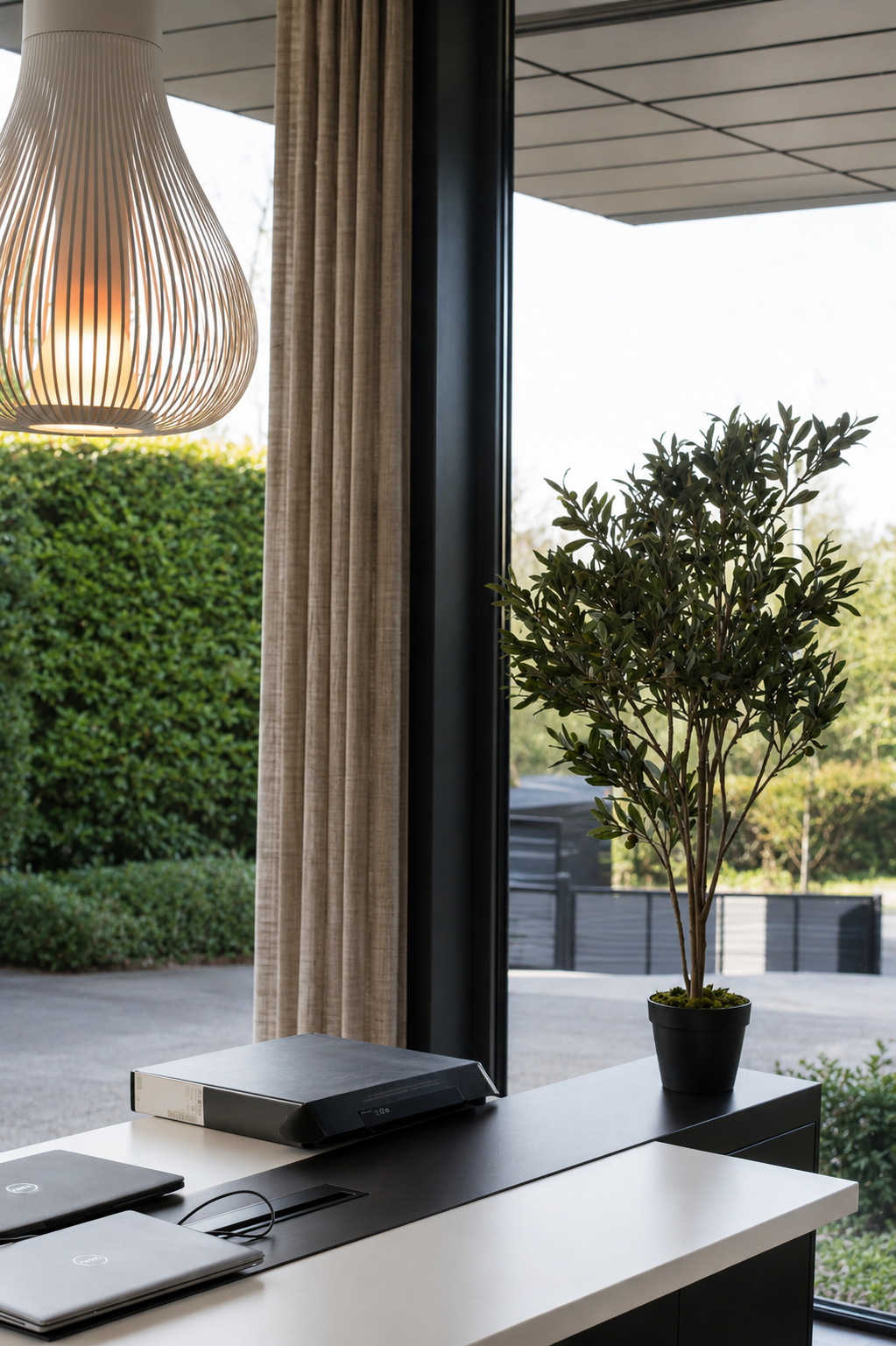 Grand Tuscan Olive Tree 114cm