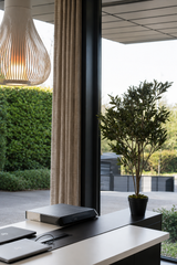 Grand Tuscan Olive Tree 114cm