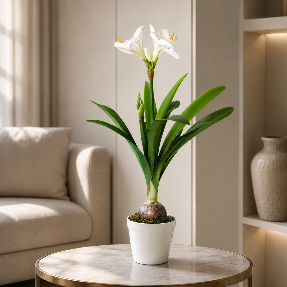 White Amaryllis Plant 80 CM